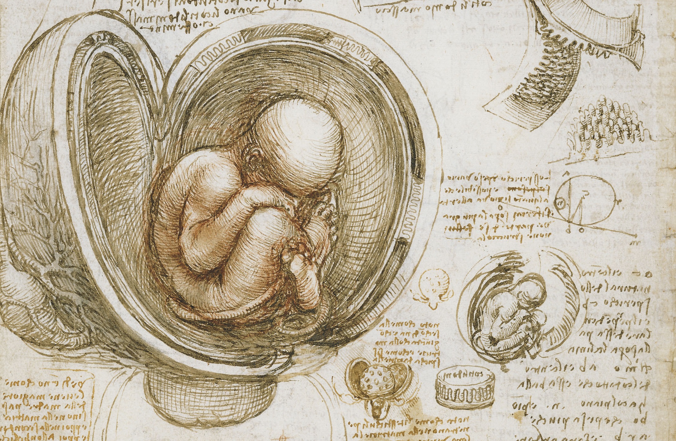 Psalm 139:13-18: Why God Makes the Difference? – Love Truth Blog